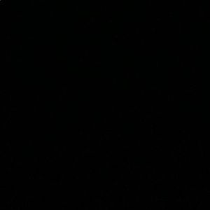 Meet your Posher, Gissellie